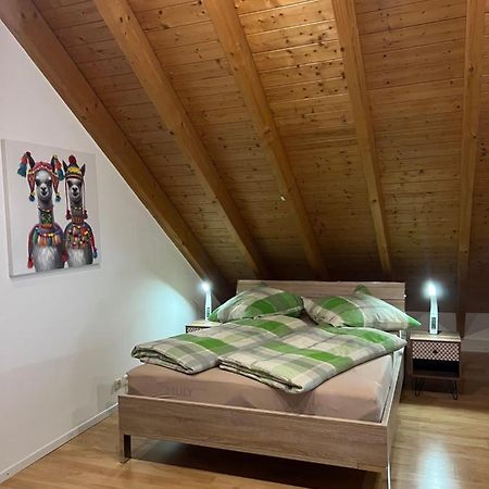 Ferienwohnung Zentral In Loerrach - Konus Gaestekarte Inklusive エクステリア 写真